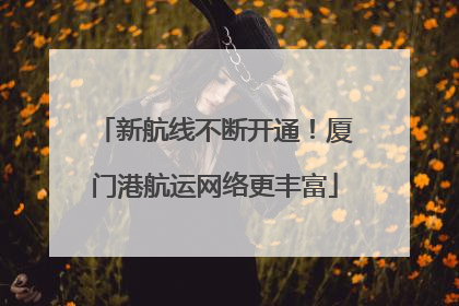 新航线不断开通！厦门港航运网络更丰富