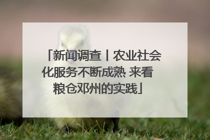 新闻调查丨农业社会化服务不断成熟 来看粮仓邓州的实践