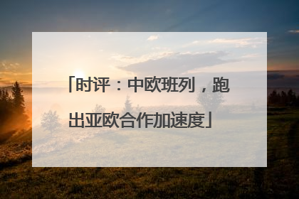 时评：中欧班列，跑出亚欧合作加速度