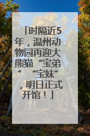 时隔近5年，温州动物园再迎大熊猫“宝弟”“宝妹”，明日正式开馆！