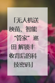 无人机送秧苗、智能“管家”巡田 解锁丰收背后的科技密码