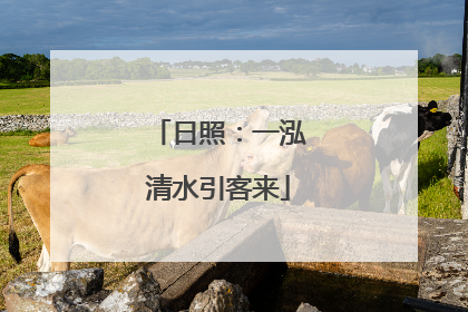 日照：一泓清水引客来