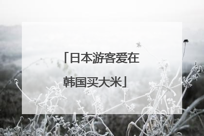 日本游客爱在韩国买大米