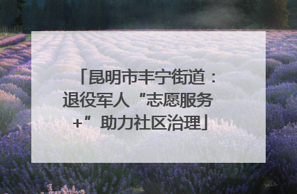 昆明市丰宁街道：退役军人“志愿服务+”助力社区治理