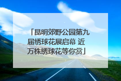 昆明郊野公园第九届绣球花展启幕 近万株绣球花等你赏