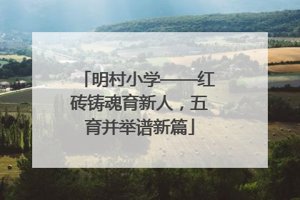 明村小学——红砖铸魂育新人，五育并举谱新篇