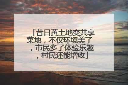 昔日黄土地变共享菜地，不仅环境美了，市民多了体验乐趣，村民还能增收