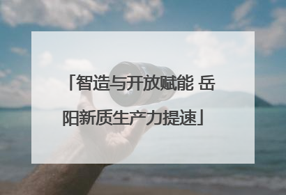 智造与开放赋能 岳阳新质生产力提速