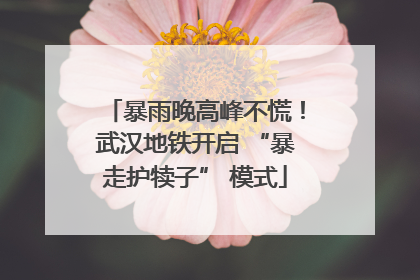 暴雨晚高峰不慌！武汉地铁开启 “暴走护犊子” 模式