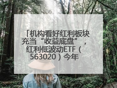 机构看好红利板块充当“收益底盘”，红利低波动ETF（563020）今年第2次分红来了