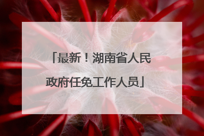 最新！湖南省人民政府任免工作人员