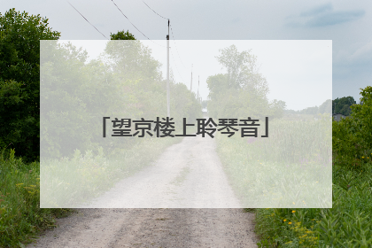 望京楼上聆琴音