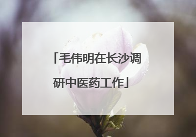 毛伟明在长沙调研中医药工作