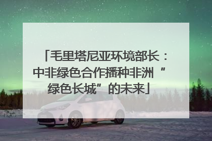 毛里塔尼亚环境部长：中非绿色合作播种非洲“绿色长城”的未来