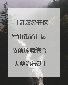 武汉经开区军山街道开展节前环境综合大整治行动