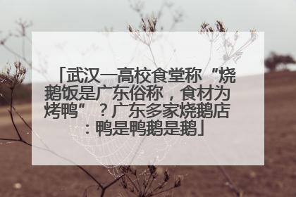 武汉一高校食堂称“烧鹅饭是广东俗称，食材为烤鸭”？广东多家烧鹅店：鸭是鸭鹅是鹅