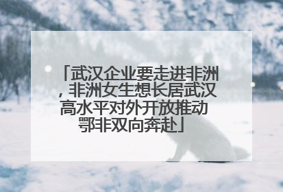 武汉企业要走进非洲，非洲女生想长居武汉 高水平对外开放推动鄂非双向奔赴