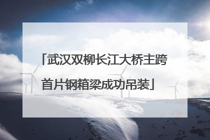 武汉双柳长江大桥主跨首片钢箱梁成功吊装