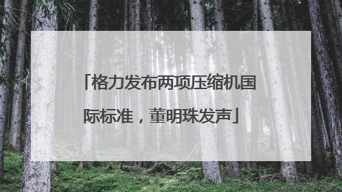 格力发布两项压缩机国际标准，董明珠发声