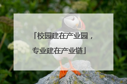 校园建在产业园，专业建在产业链