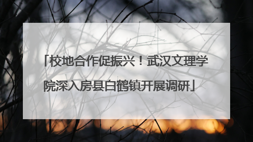 校地合作促振兴！武汉文理学院深入房县白鹤镇开展调研
