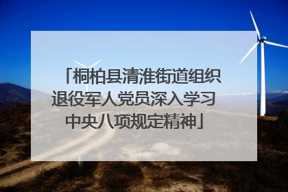 桐柏县清淮街道组织退役军人党员深入学习中央八项规定精神
