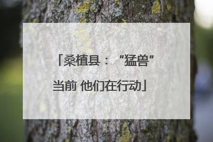 桑植县：“猛兽”当前 他们在行动