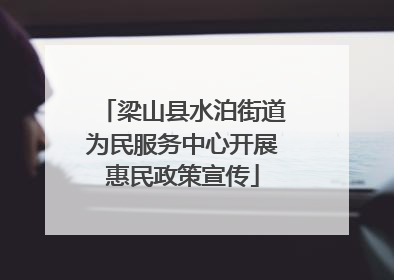 梁山县水泊街道为民服务中心开展惠民政策宣传