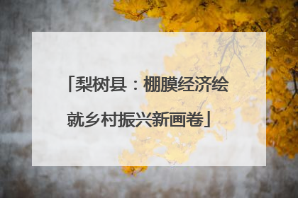 梨树县：棚膜经济绘就乡村振兴新画卷