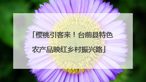 樱桃引客来！台前县特色农产品映红乡村振兴路