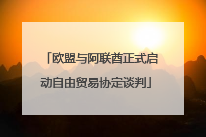欧盟与阿联酋正式启动自由贸易协定谈判