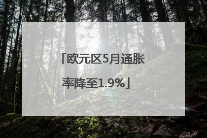 欧元区5月通胀率降至1.9%