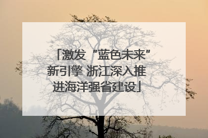 激发“蓝色未来”新引擎 浙江深入推进海洋强省建设