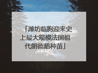 潍坊临朐迎来史上最大规模法国祖代朗德鹅种苗
