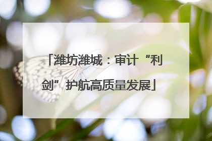 潍坊潍城：审计“利剑”护航高质量发展
