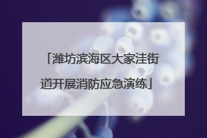 潍坊滨海区大家洼街道开展消防应急演练