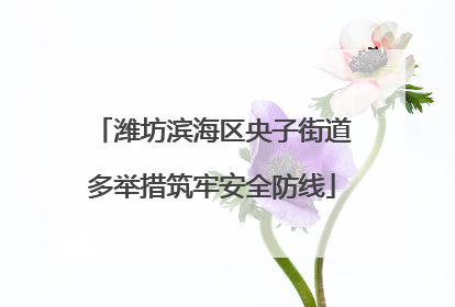 潍坊滨海区央子街道多举措筑牢安全防线