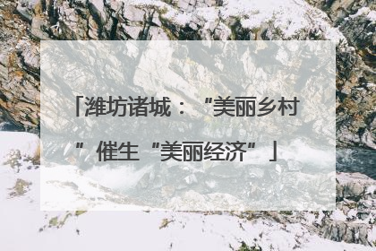 潍坊诸城：“美丽乡村”催生“美丽经济”