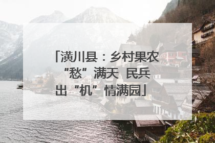 潢川县：乡村果农“愁”满天  民兵出“机”情满园