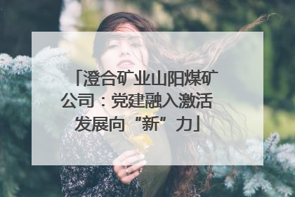 澄合矿业山阳煤矿公司：党建融入激活发展向“新”力