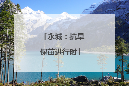 永城：抗旱保苗进行时
