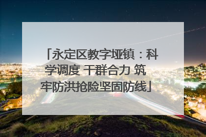 永定区教字垭镇：科学调度 干群合力 筑牢防洪抢险坚固防线