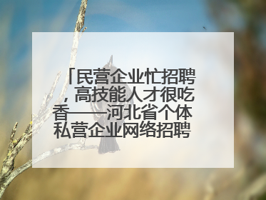 民营企业忙招聘，高技能人才很吃香——河北省个体私营企业网络招聘大会扫描