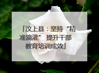 汶上县：坚持“精准滴灌” 提升干部教育培训成效