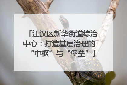江汉区新华街道综治中心：打造基层治理的“中枢”与“堡垒”