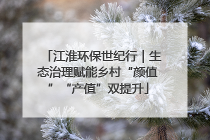 江淮环保世纪行｜生态治理赋能乡村“颜值”“产值”双提升