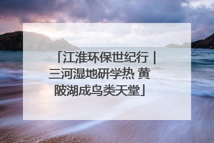 江淮环保世纪行｜三河湿地研学热 黄陂湖成鸟类天堂