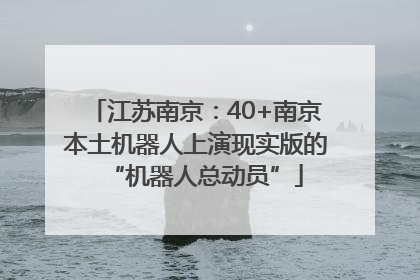 江苏南京：40+南京本土机器人上演现实版的“机器人总动员”