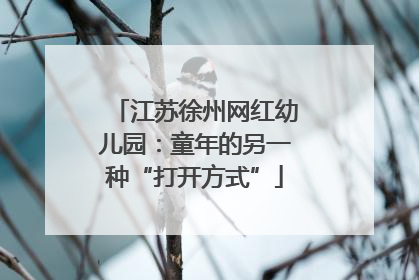 江苏徐州网红幼儿园：童年的另一种“打开方式”