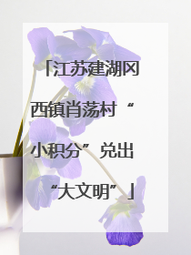 江苏建湖冈西镇肖荡村“小积分”兑出“大文明”